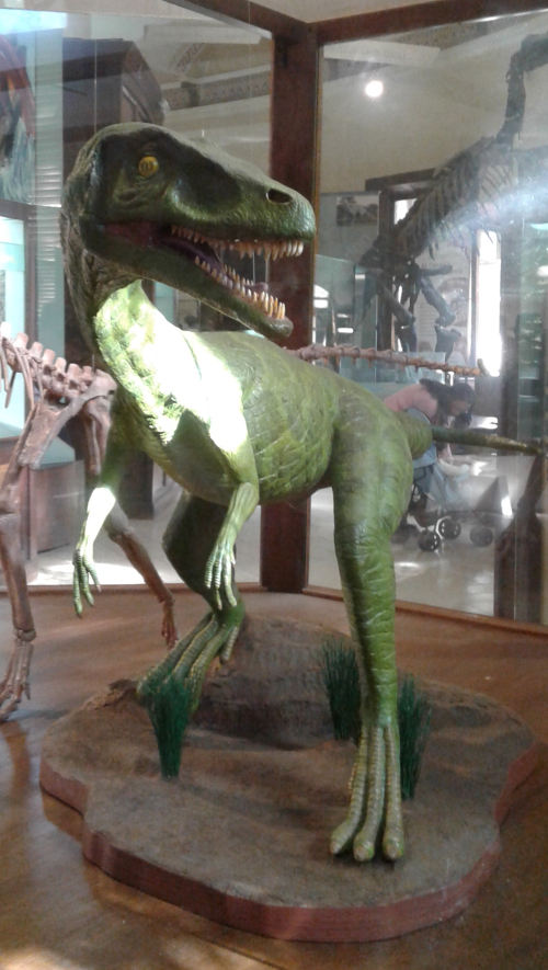 Maqueta de Guaibasaurus